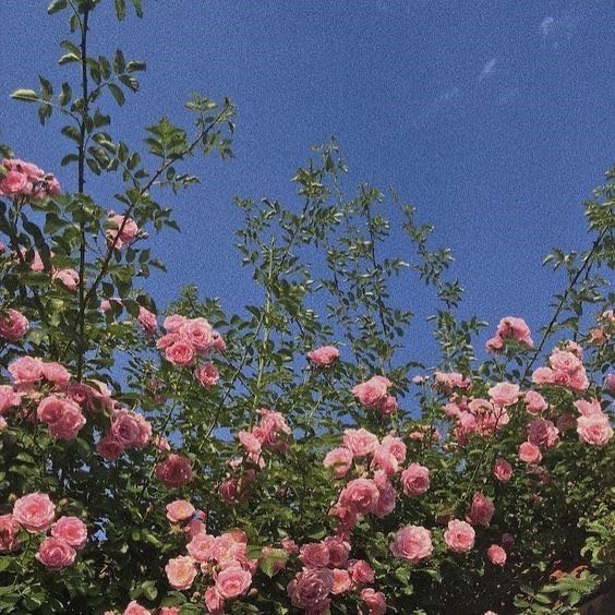 프로필사진