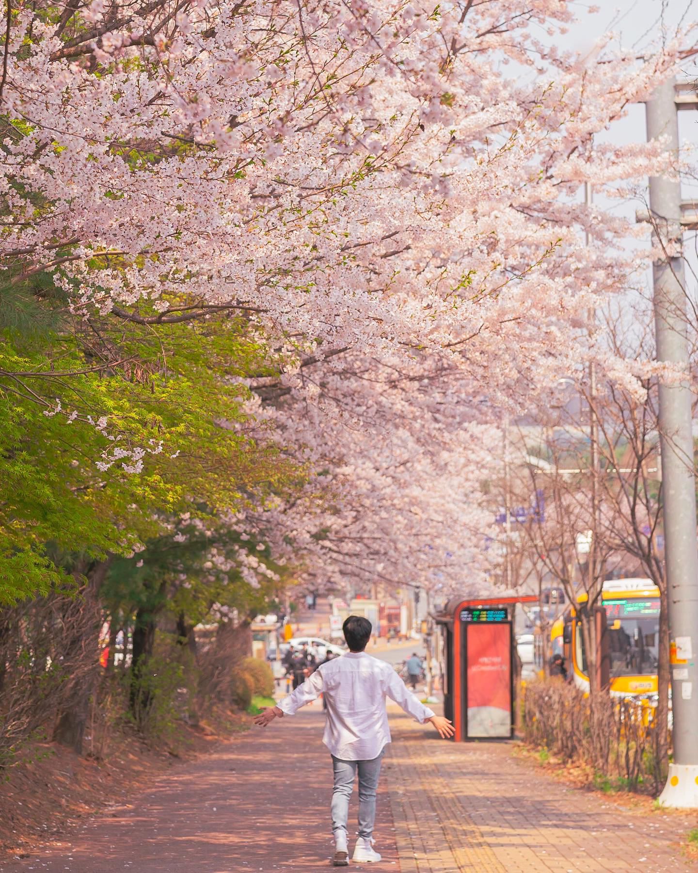 프로필사진