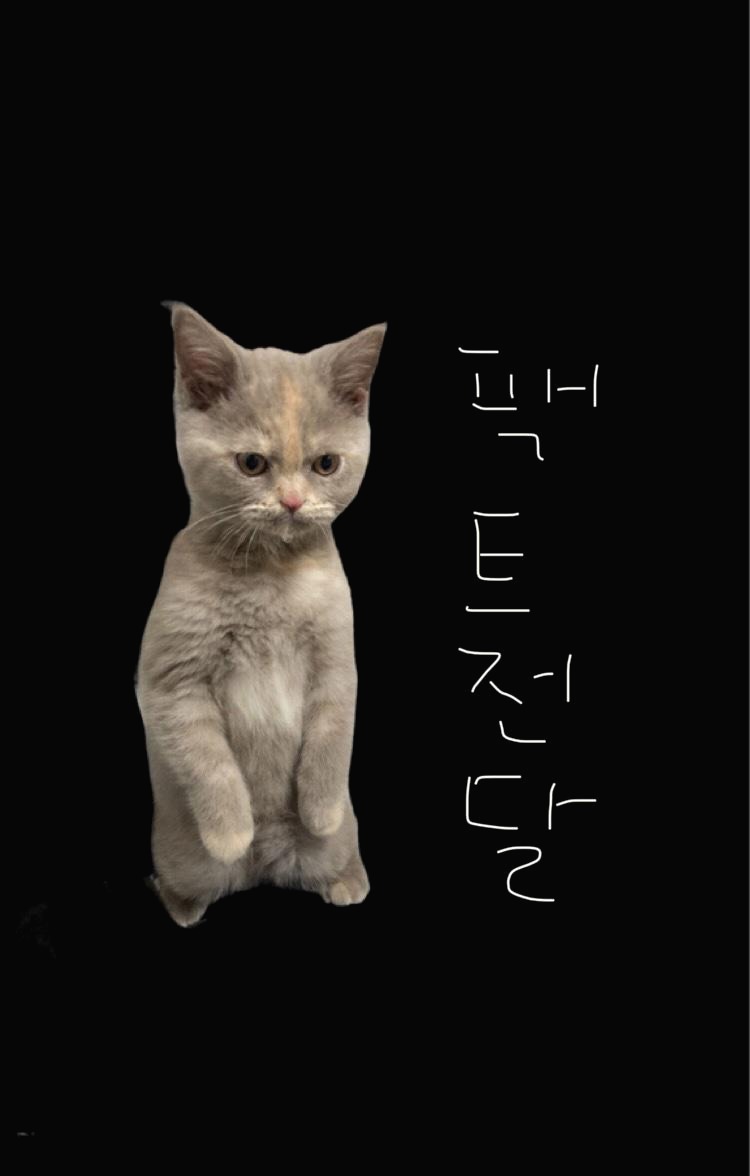 블로그 이미지