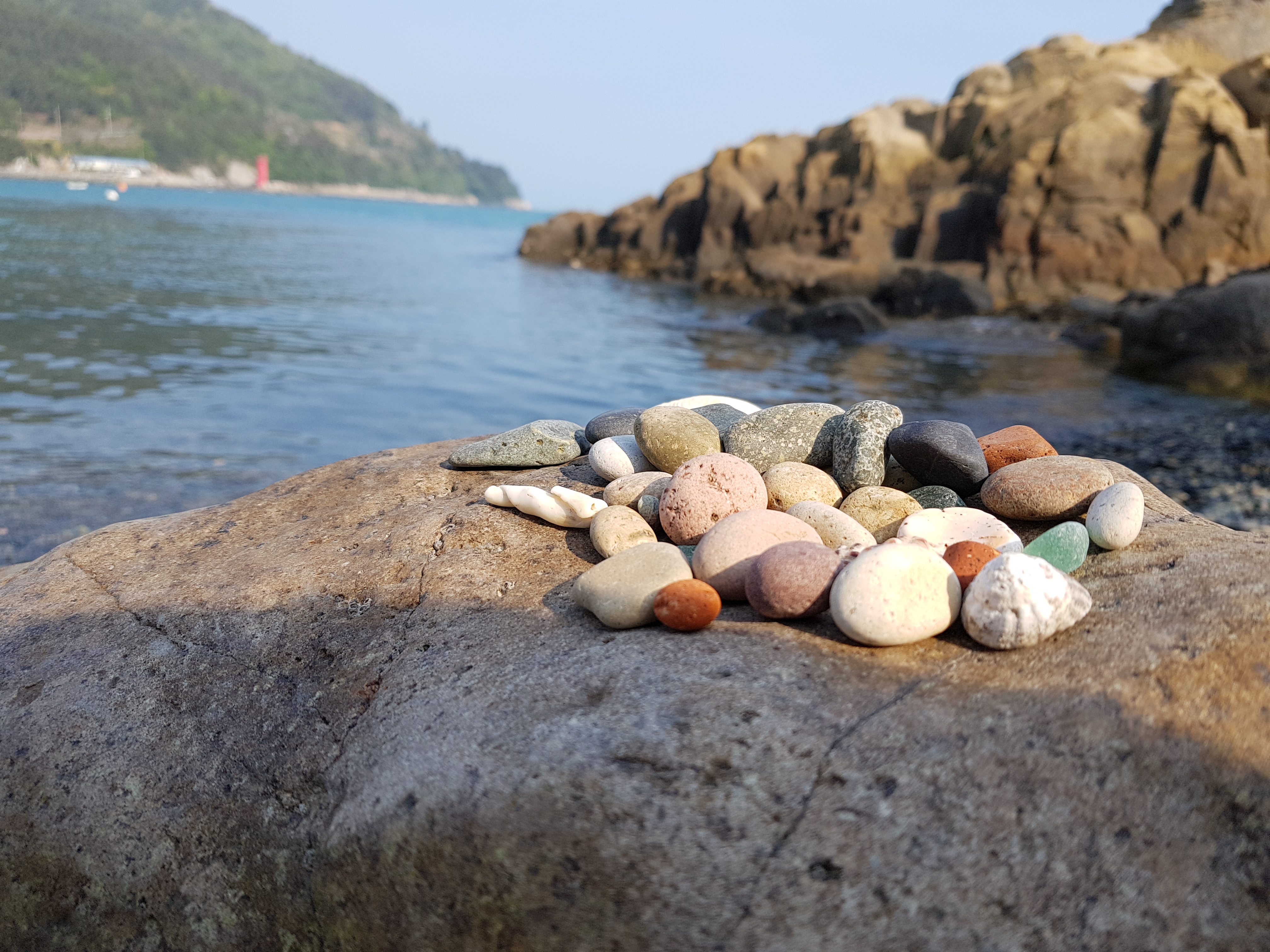 프로필사진