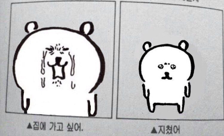 프로필사진