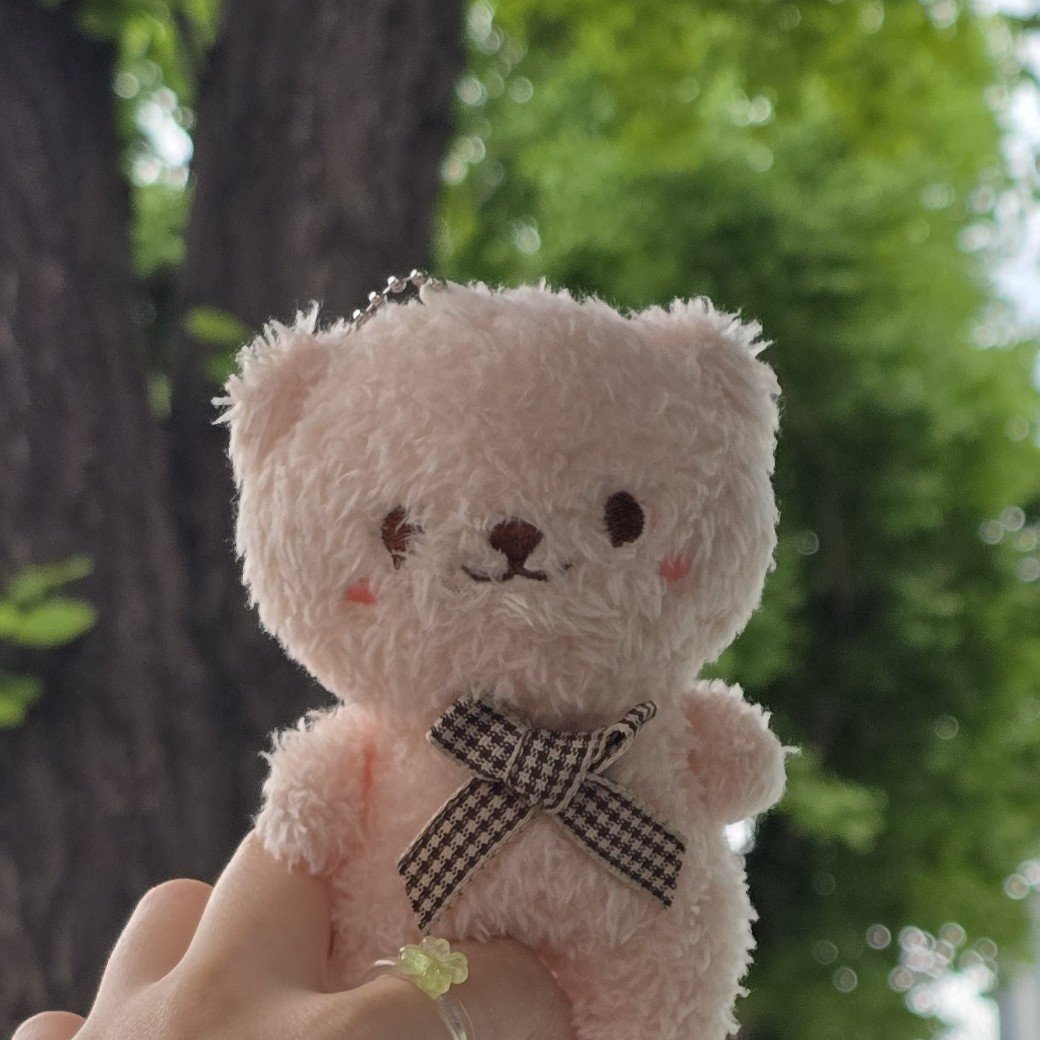 블로그 이미지