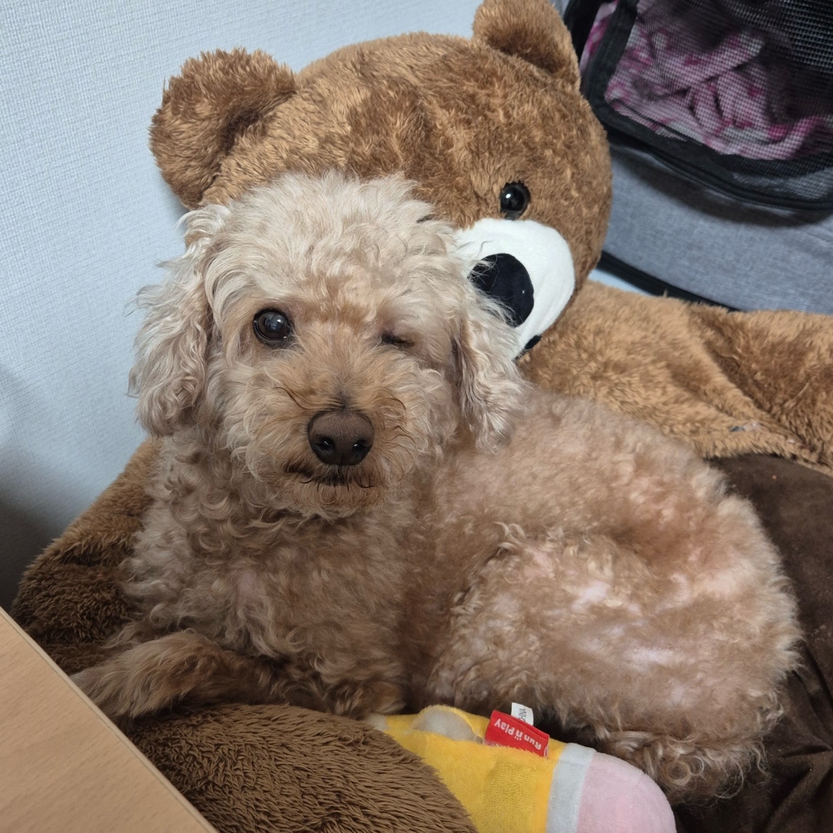 블로그 이미지