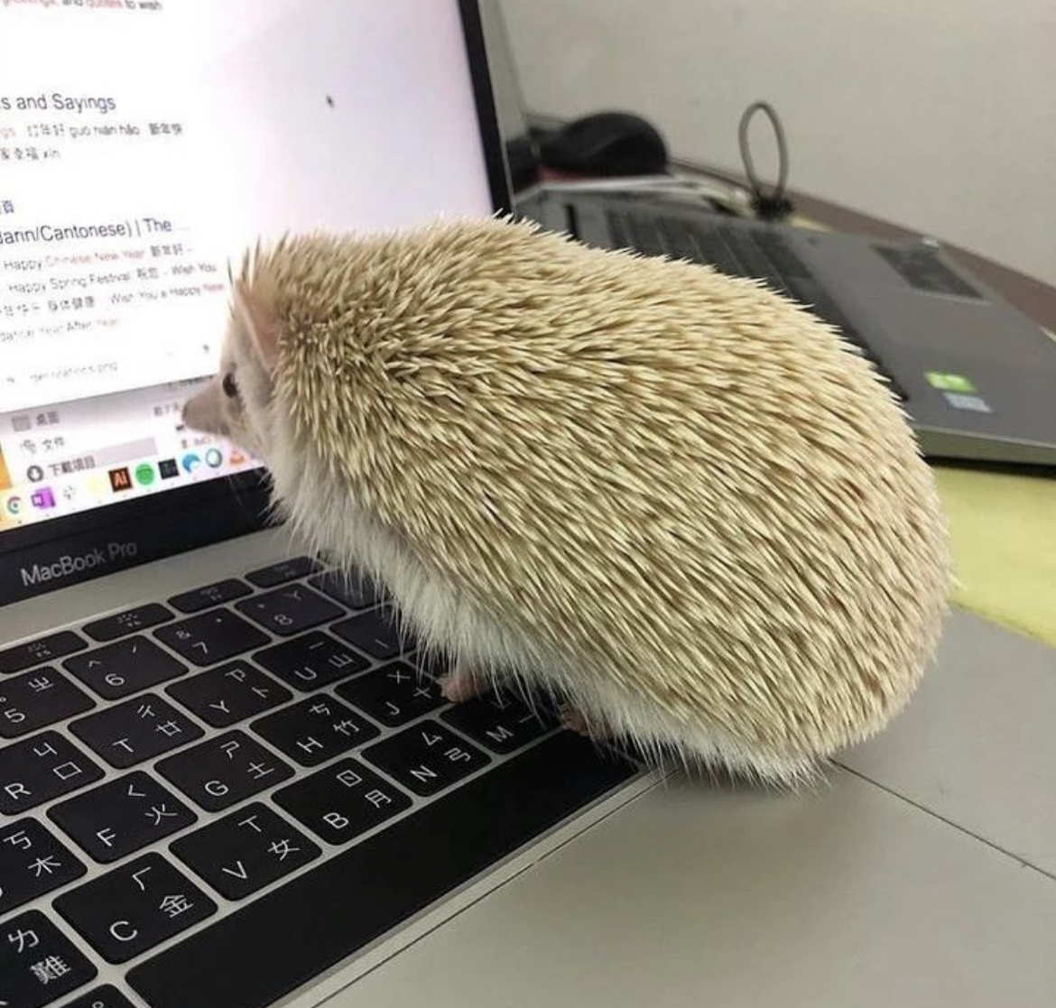 프로필사진
