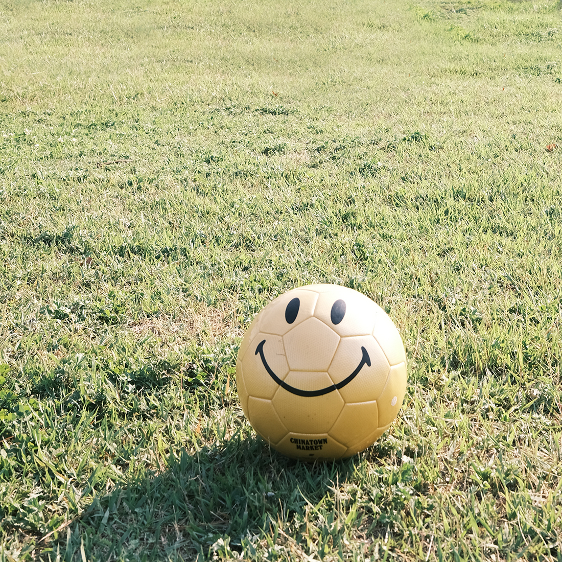 perfectdaysveryvery