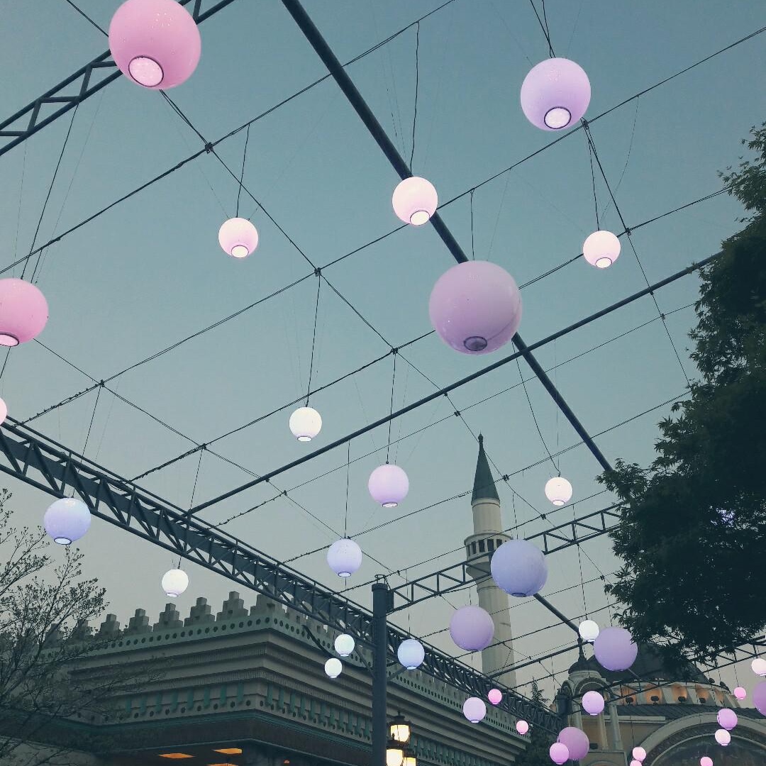 프로필사진