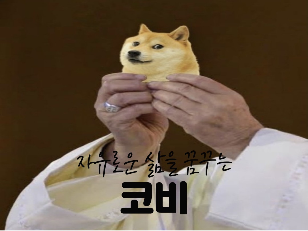 프로필사진