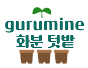 Gurumine 구름이네 화분텃밭