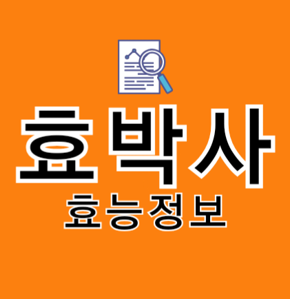 프로필사진