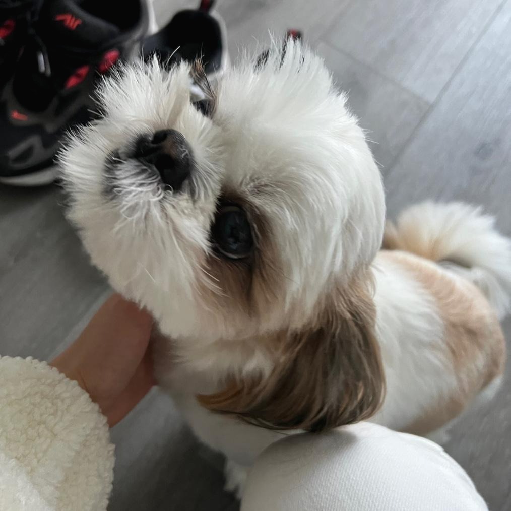 프로필사진