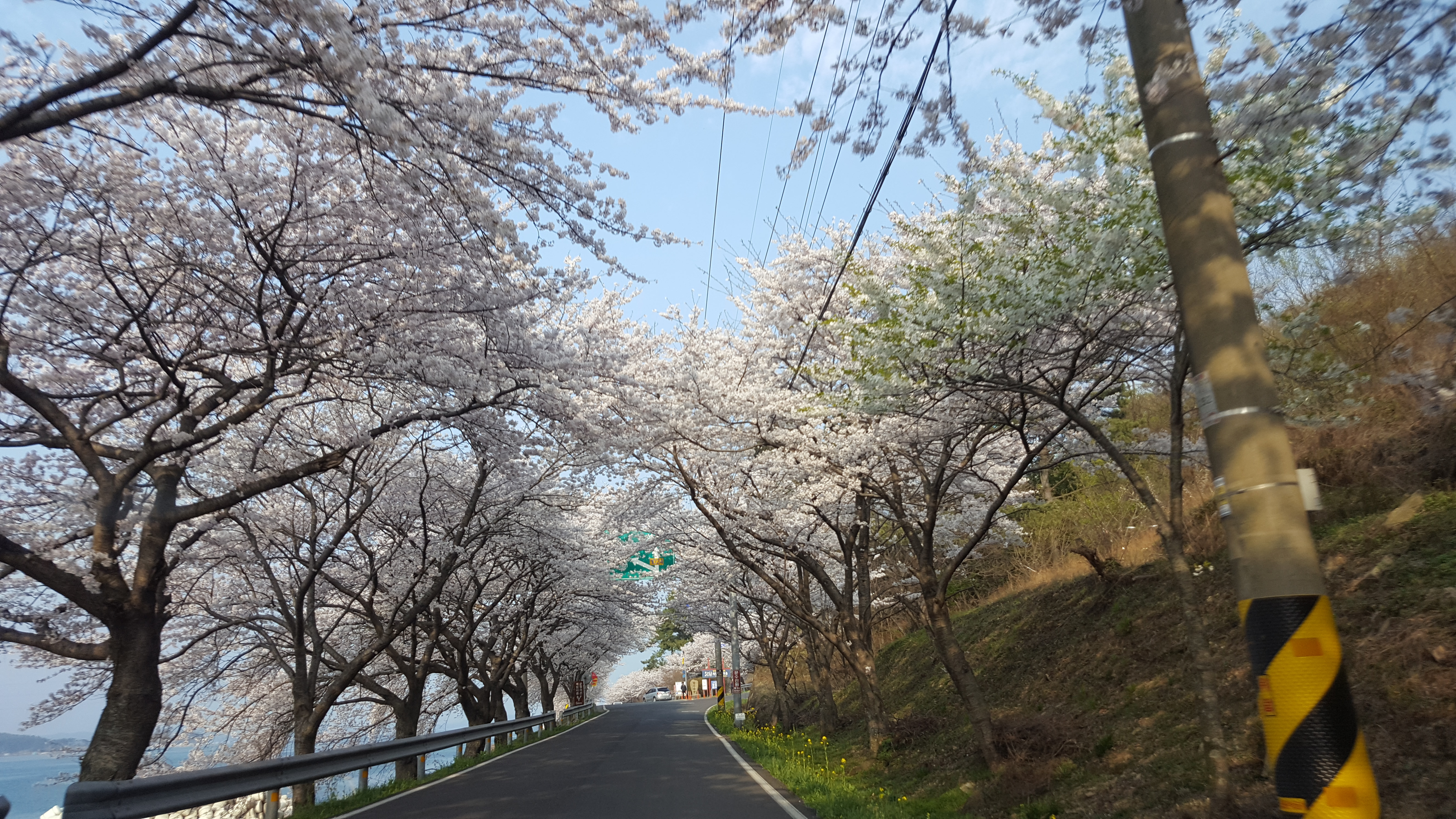 프로필사진