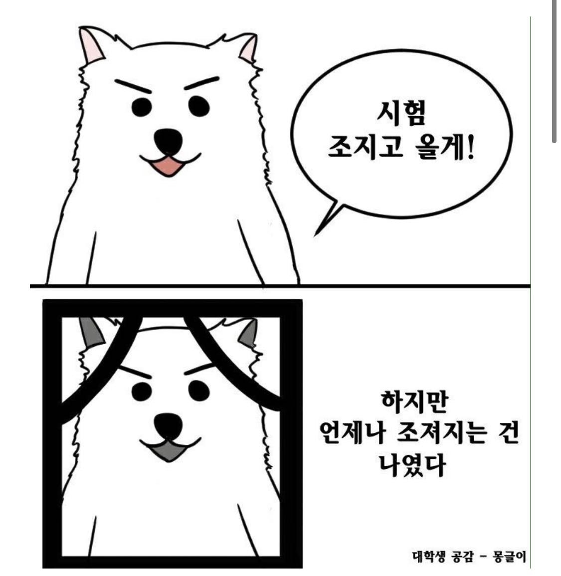 프로필사진