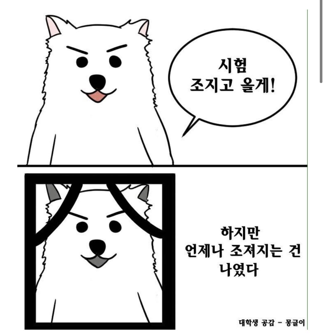 프로필사진