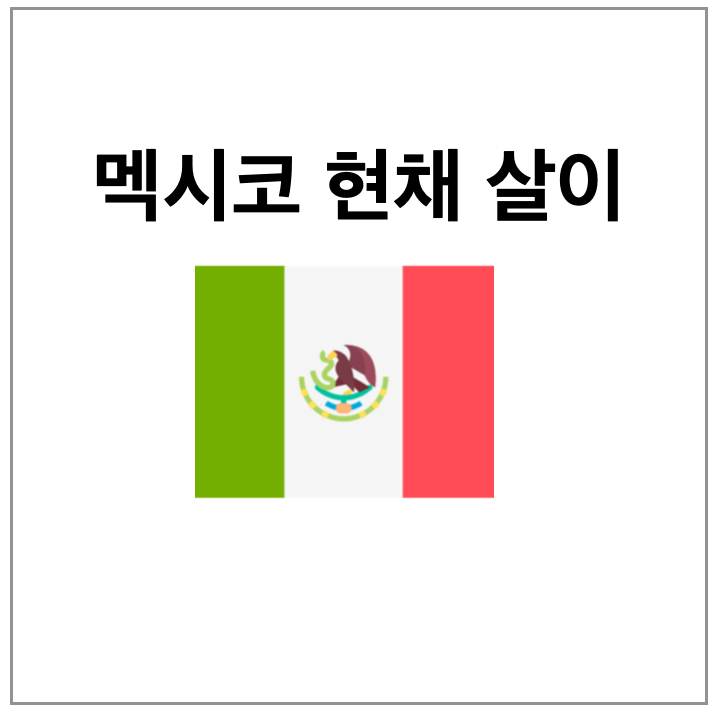 Tistory profile picture for @mexico