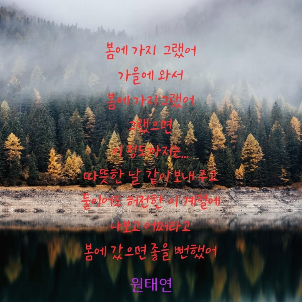 블로그 이미지