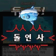 프로필사진