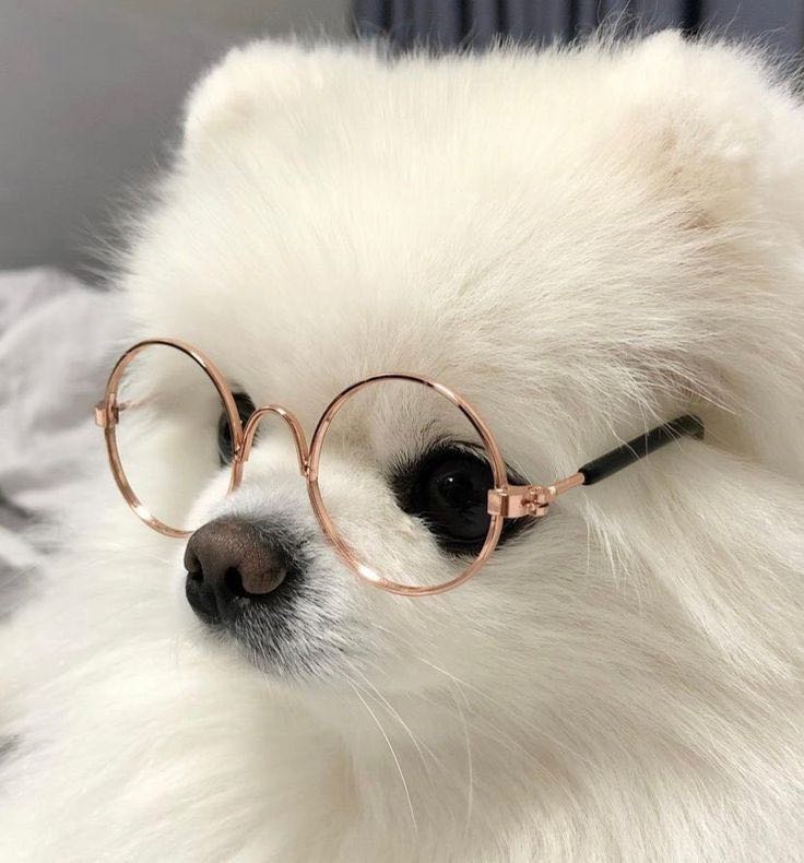 프로필사진