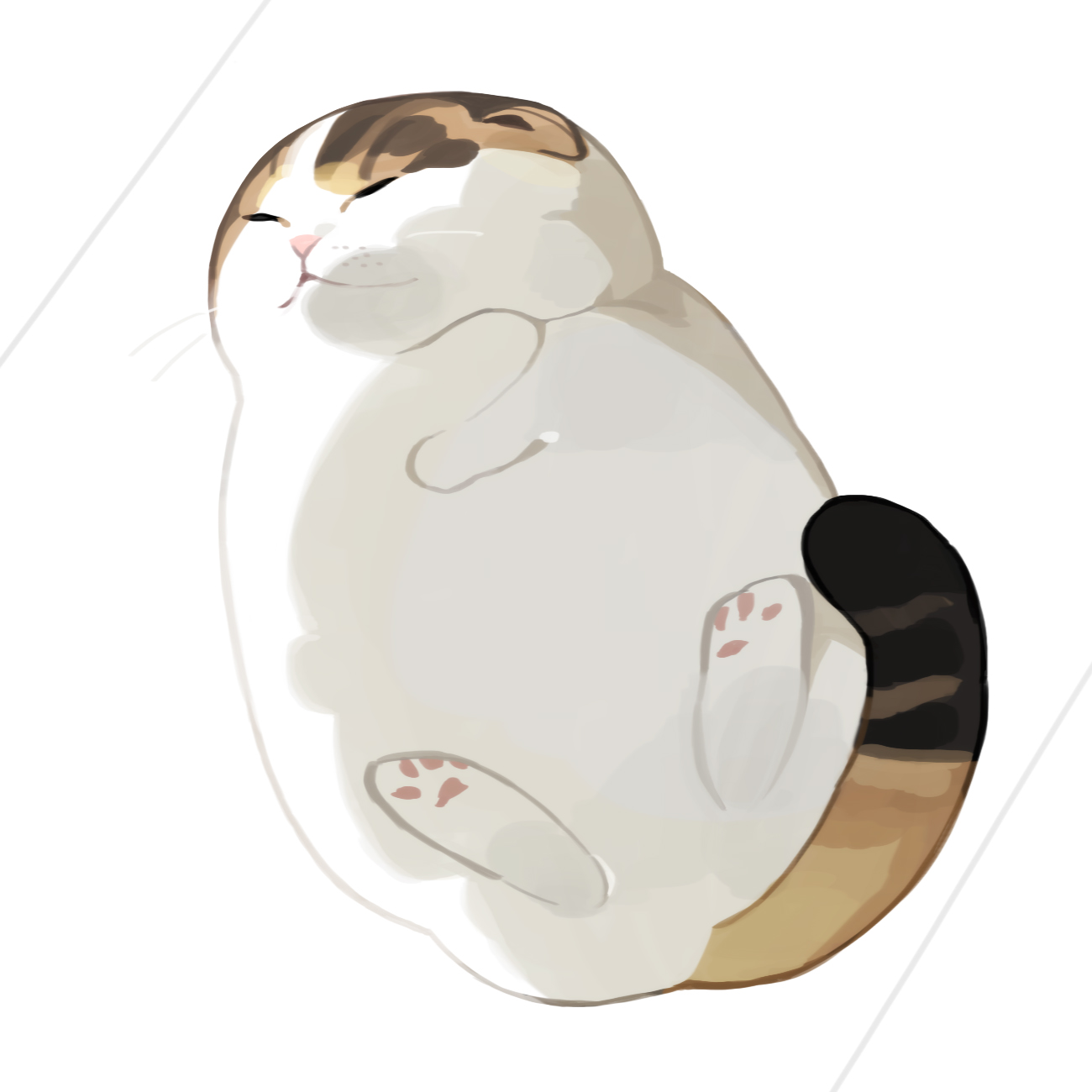프로필사진