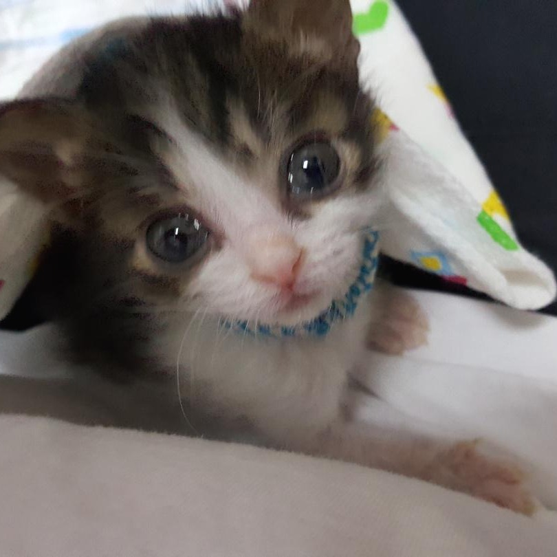 프로필사진