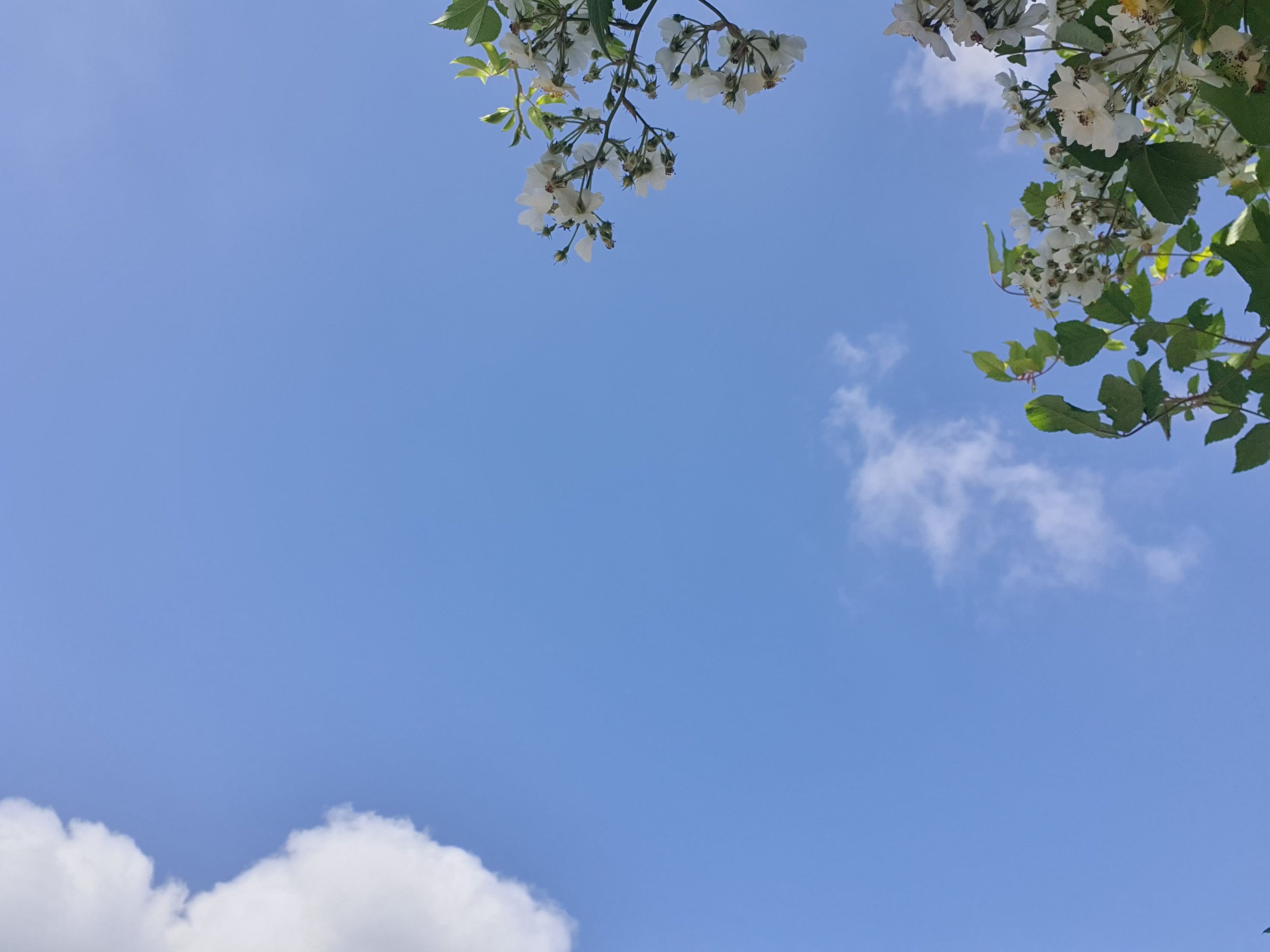프로필사진
