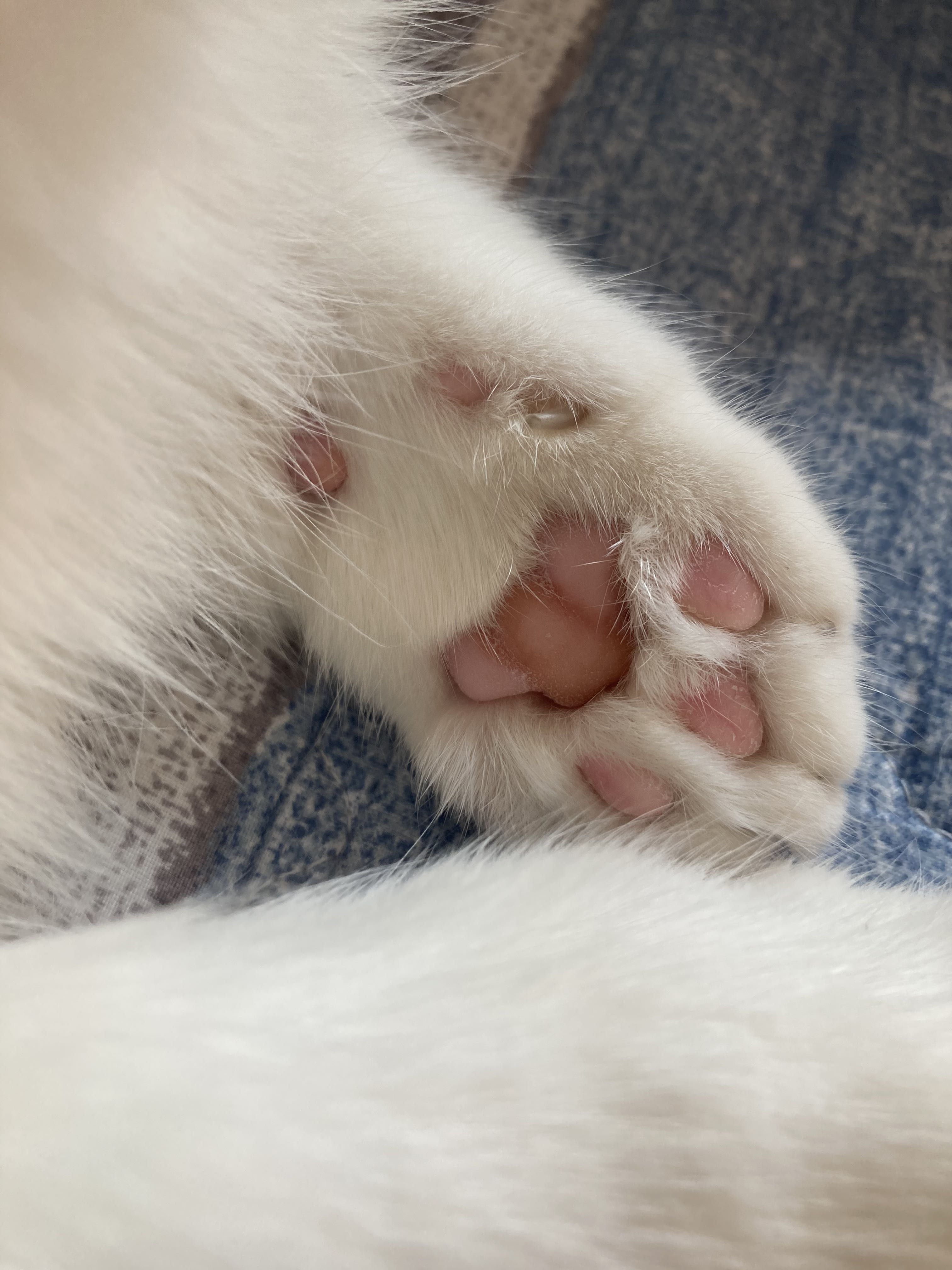 프로필사진
