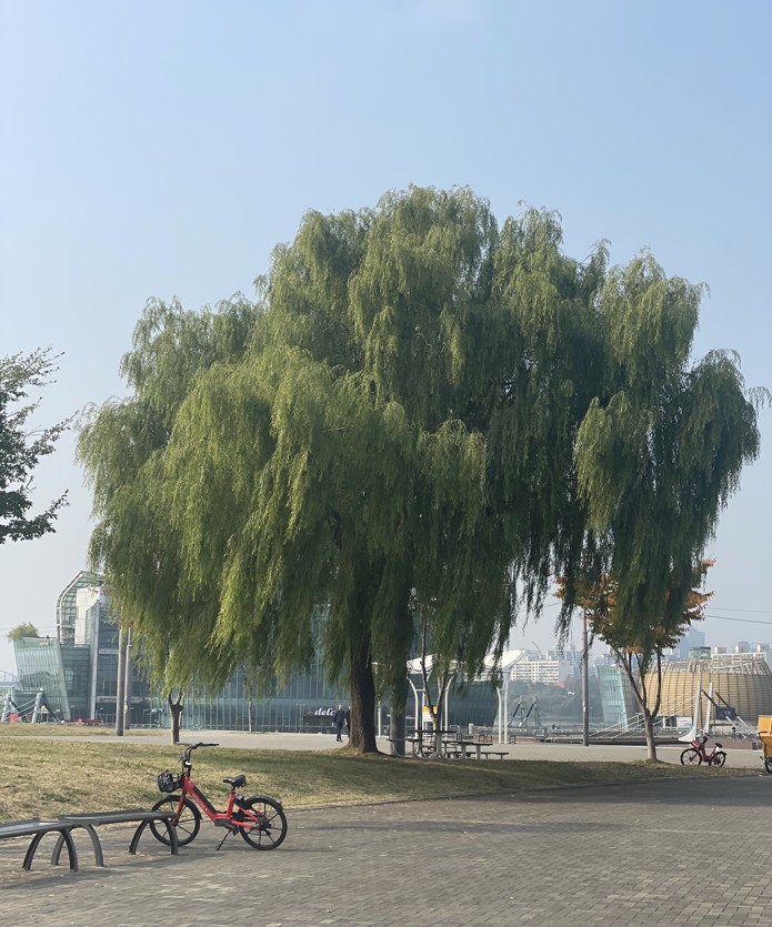프로필사진