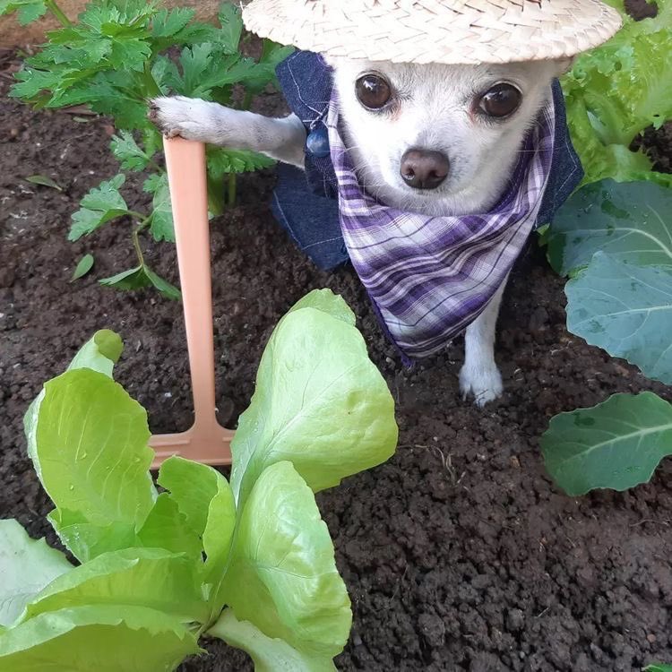 프로필사진