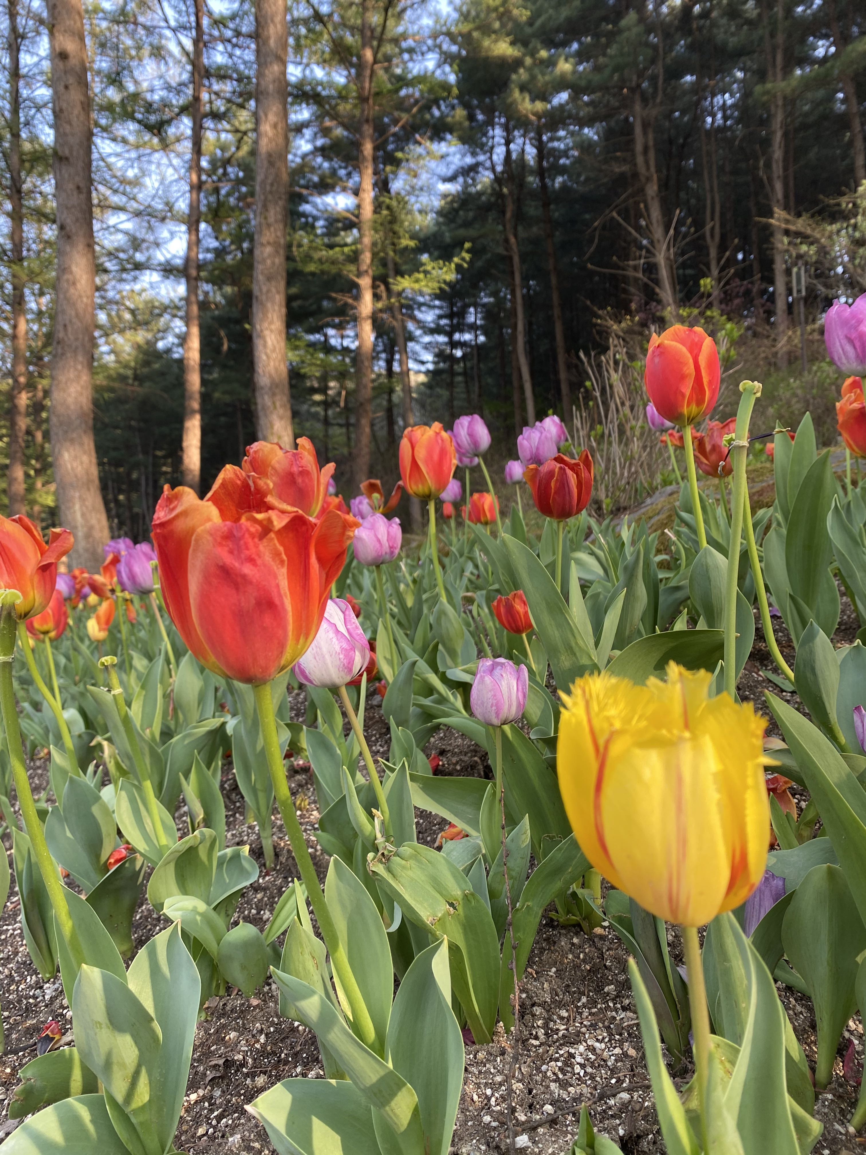 프로필사진