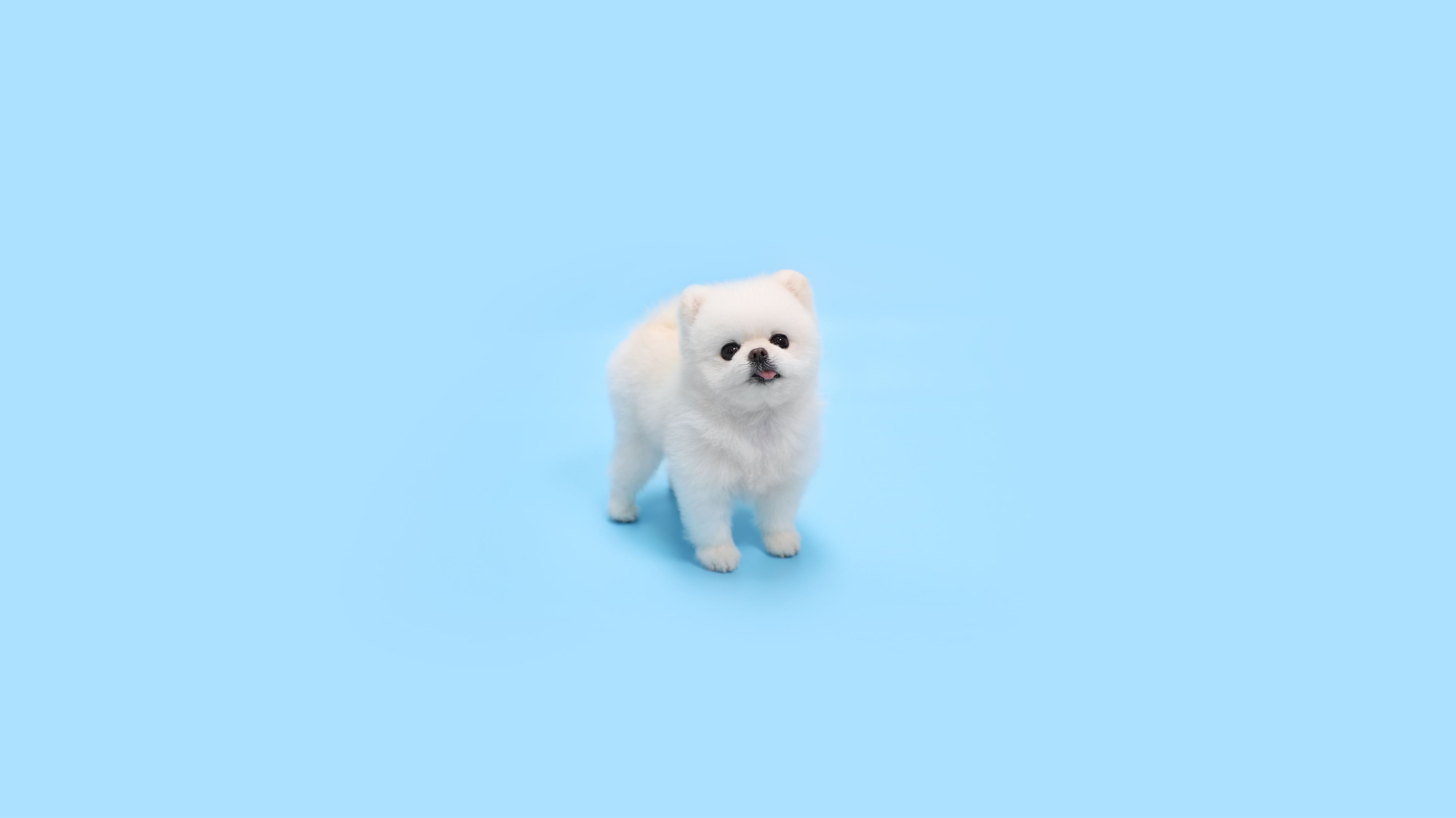프로필사진