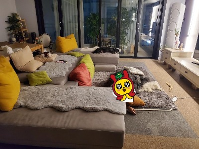 블로그 이미지