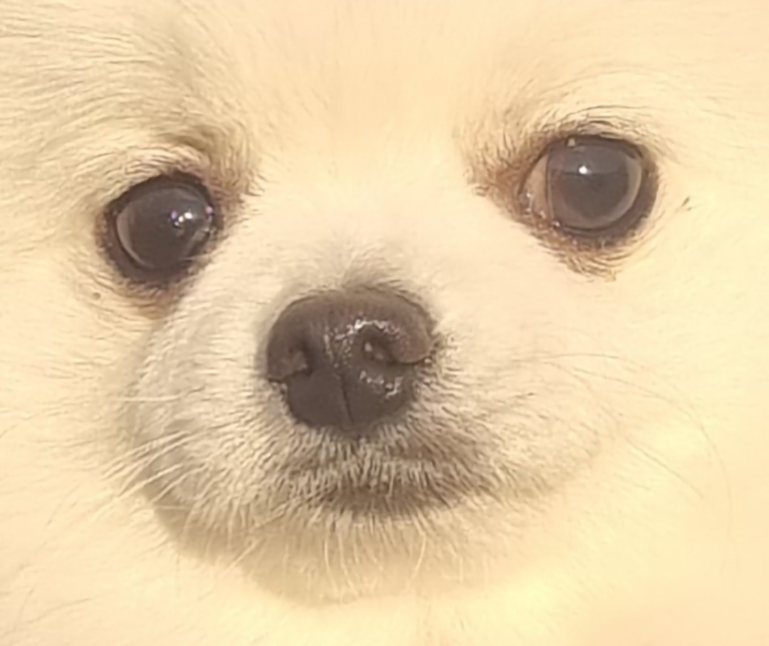 프로필사진