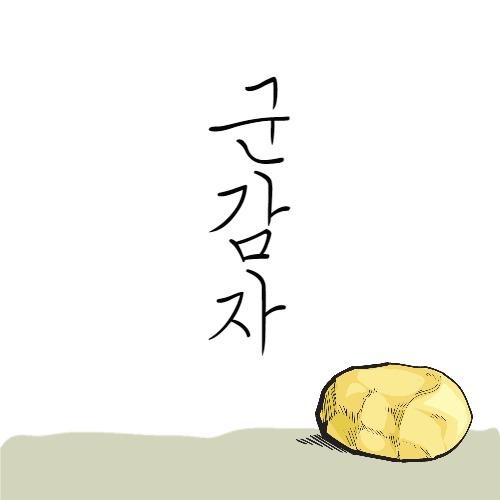 프로필사진
