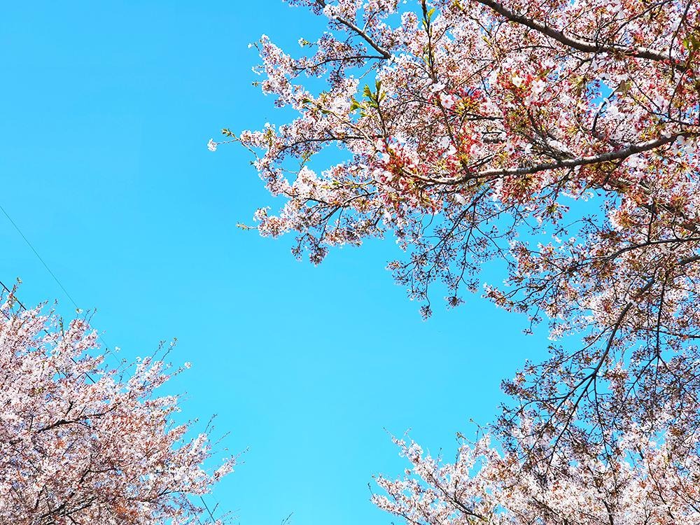 프로필사진