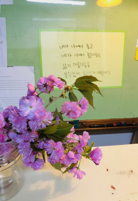 블로그 이미지
