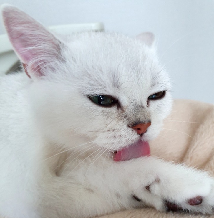 프로필사진