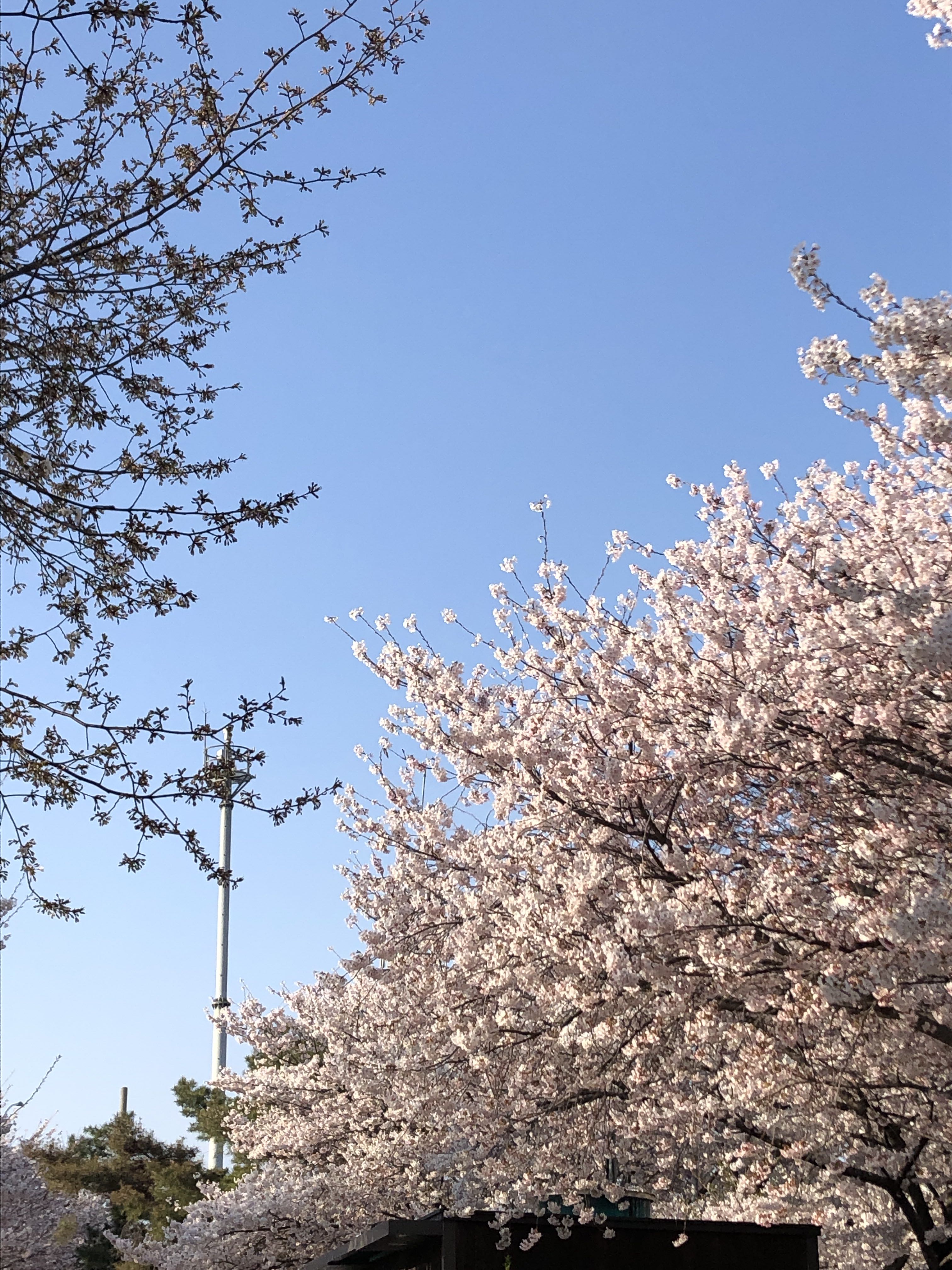 프로필사진