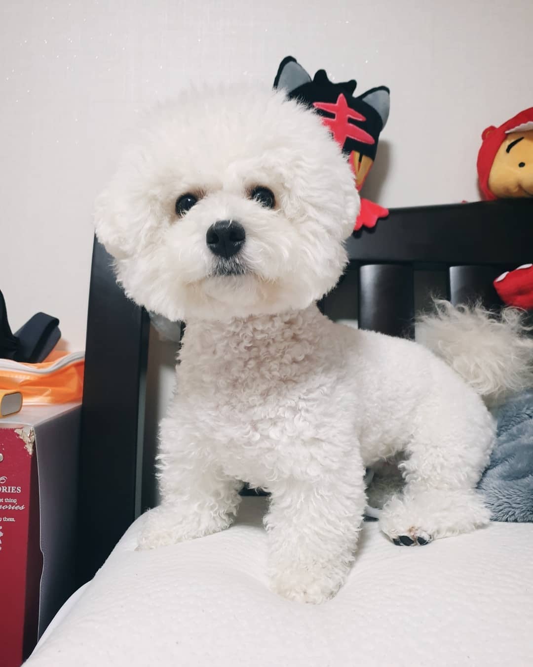 프로필사진