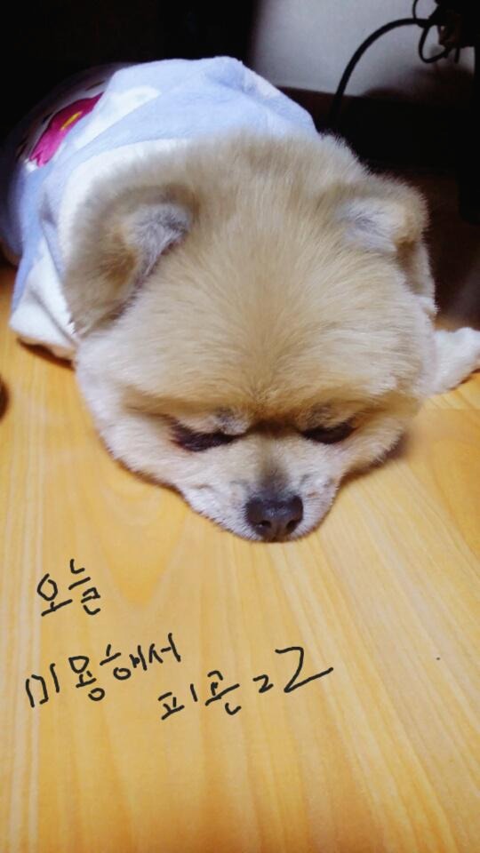 블로그 이미지