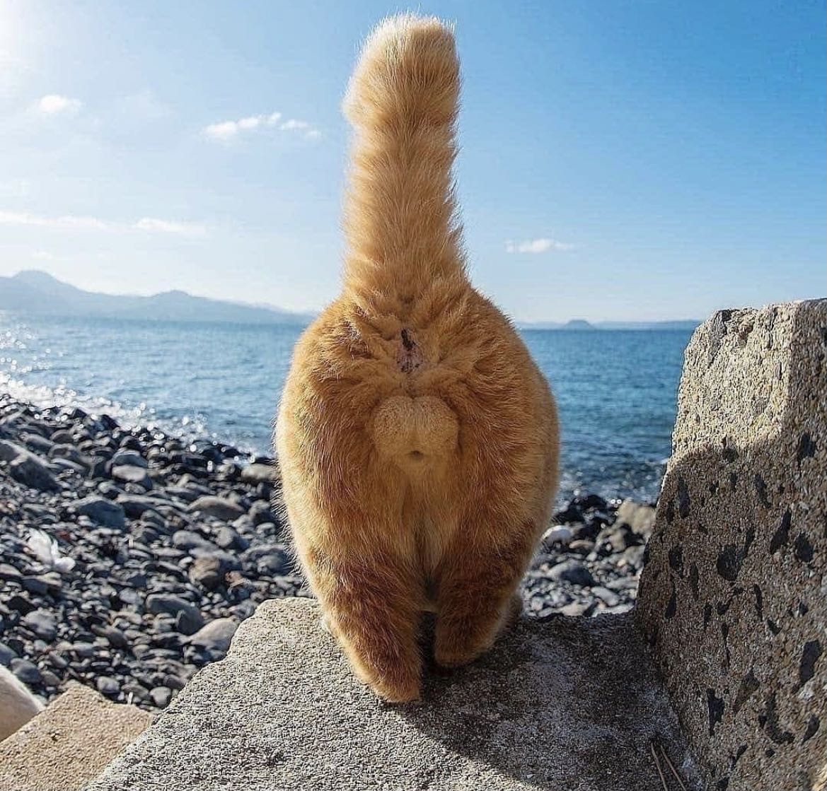 프로필사진