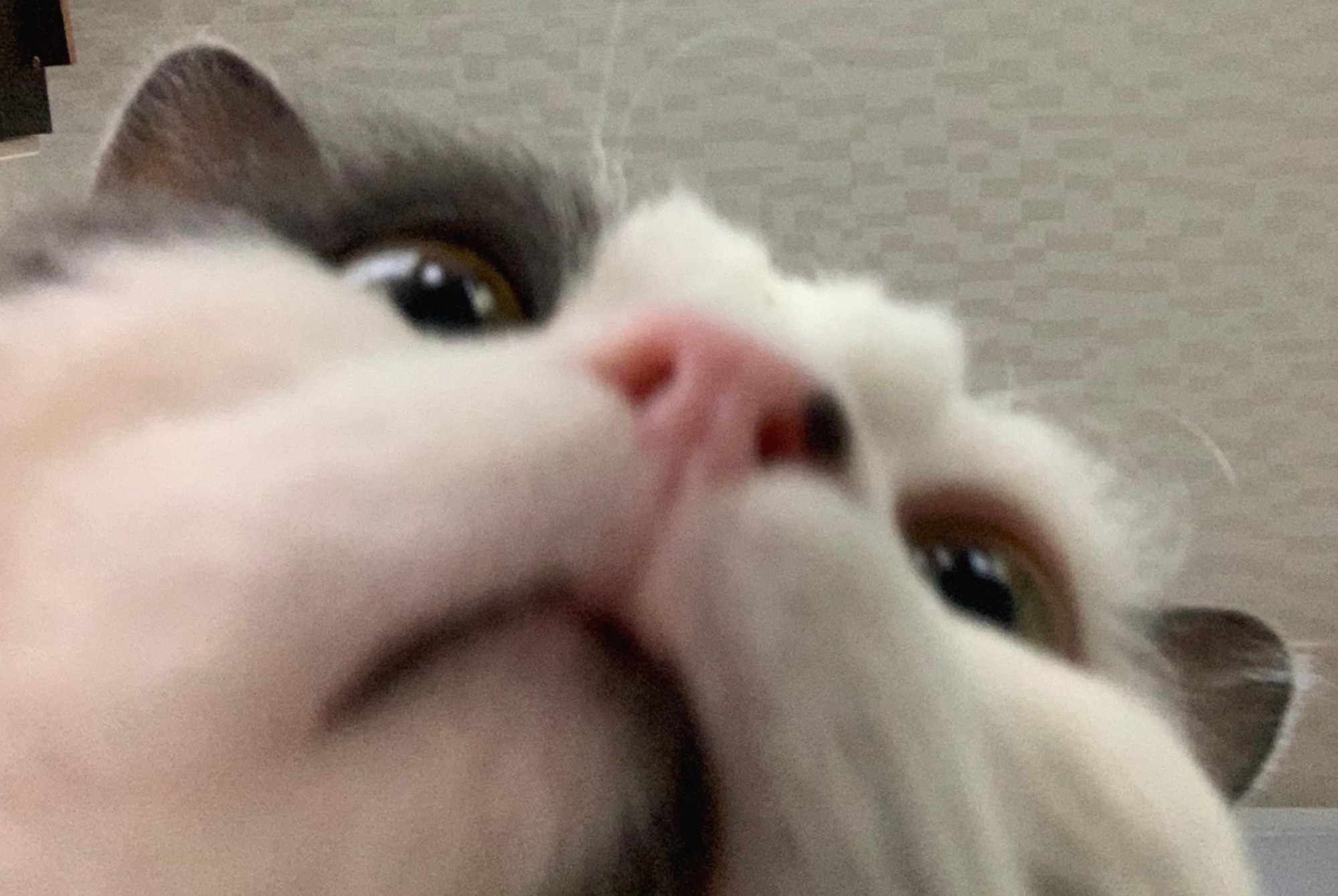 프로필사진
