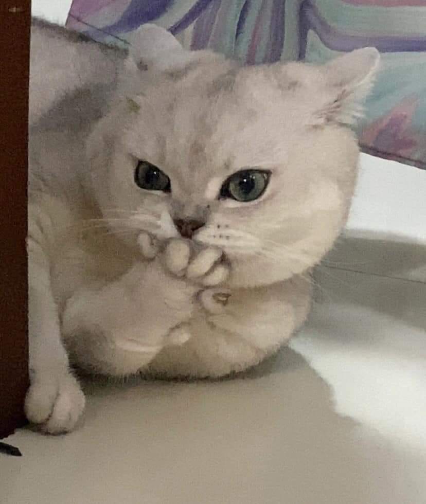 프로필사진