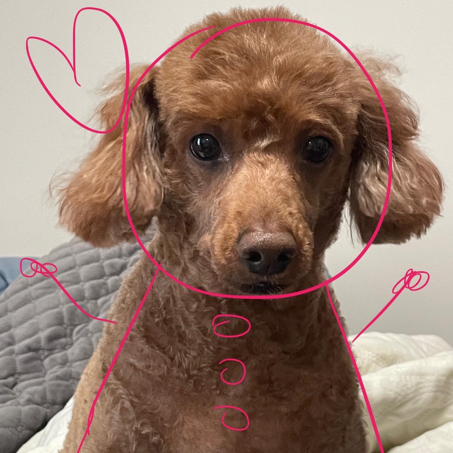 프로필사진