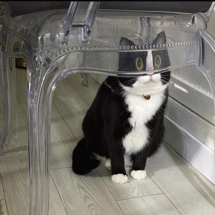 프로필사진