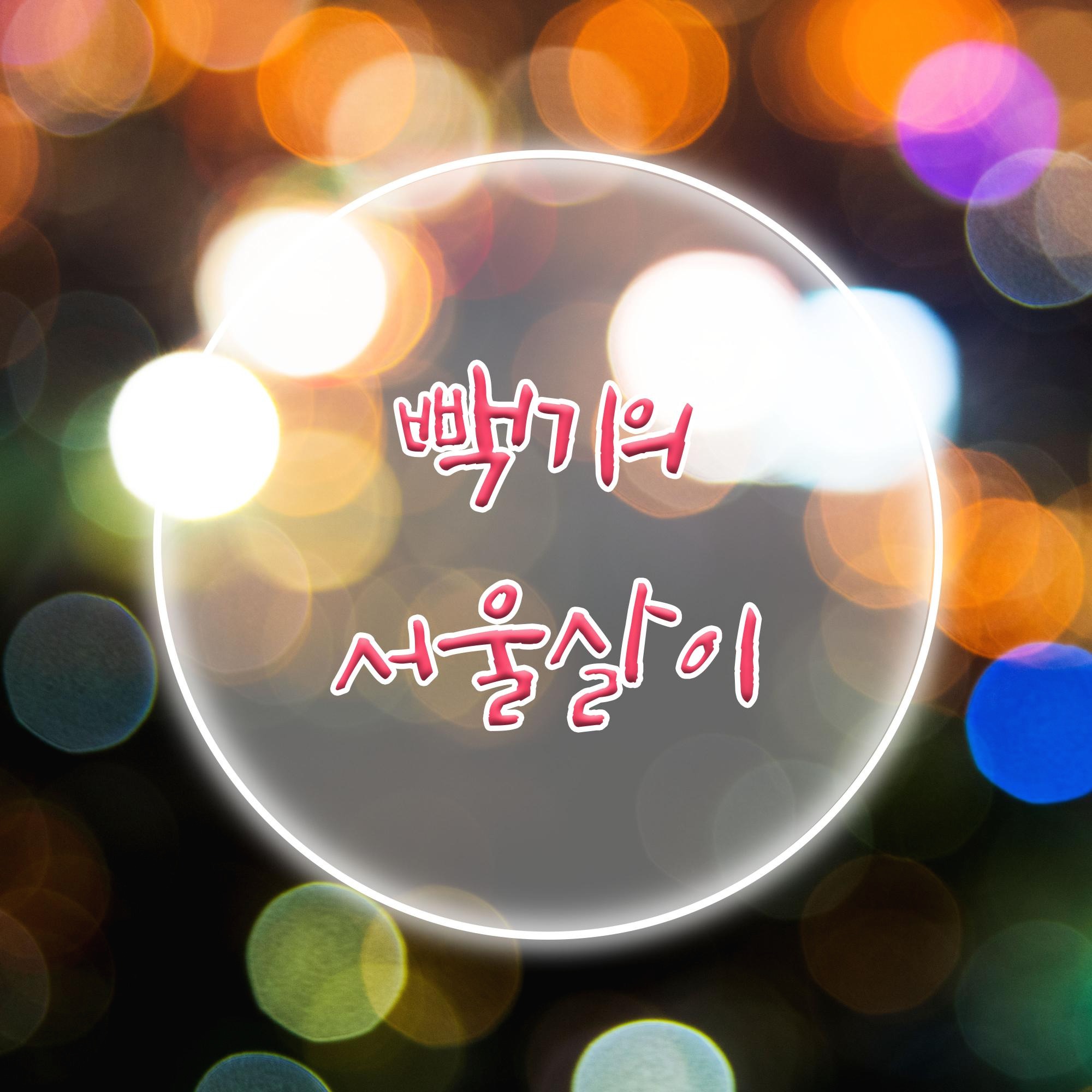 프로필사진