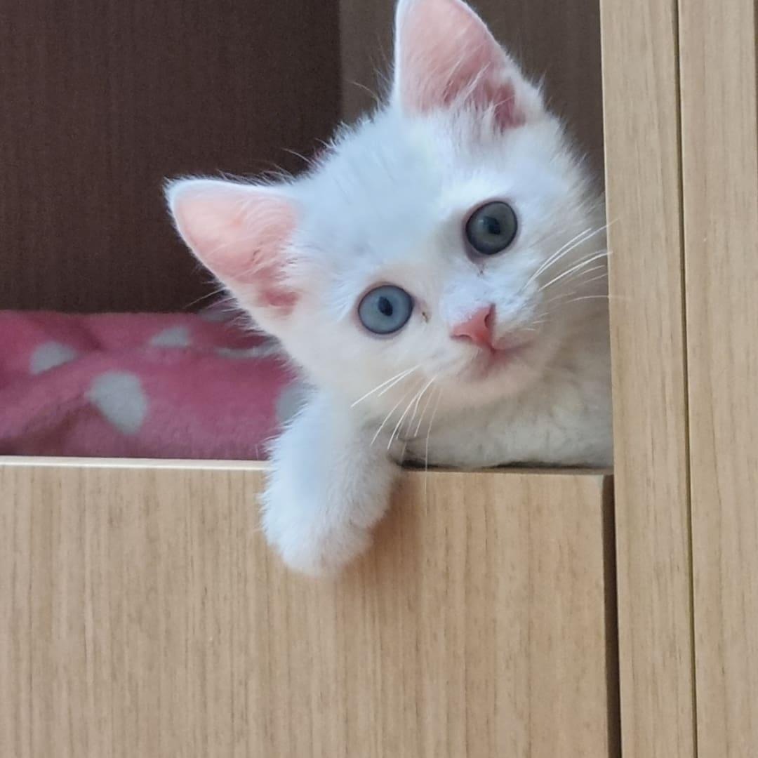 프로필사진