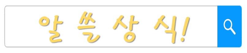프로필사진