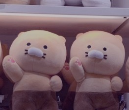 프로필사진