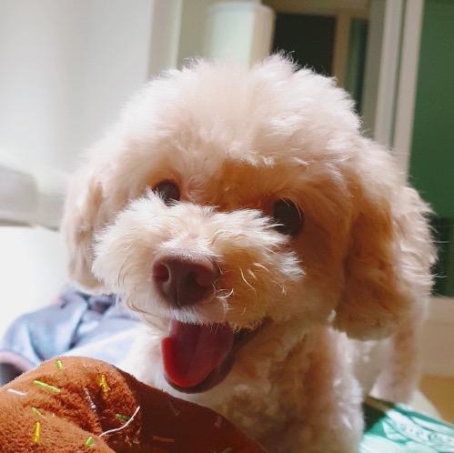 프로필사진