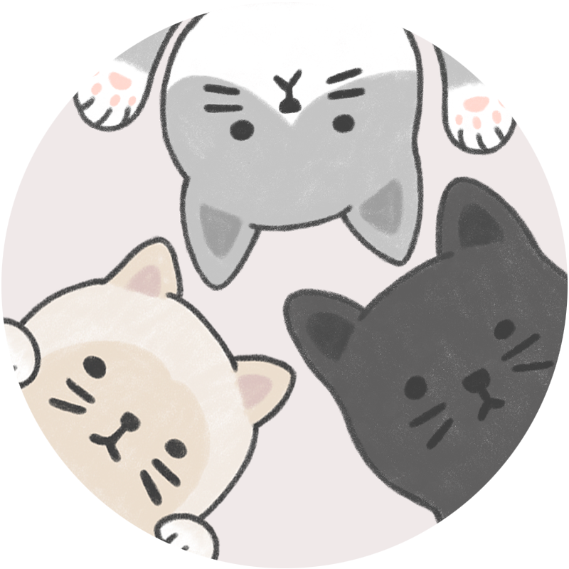 프로필사진