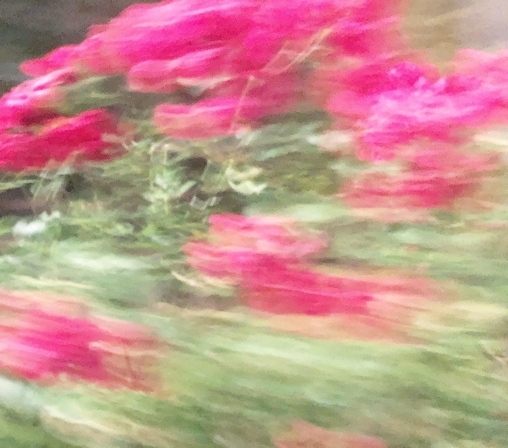 프로필사진